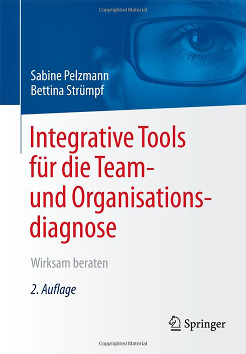 >Integrative Tools für die Team- und Organisationsdiagnose. Wirksam beraten.